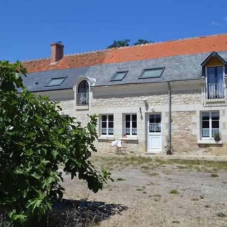 Escale A Villeperdue Chambre Neringa Saint-Épain Dış mekan fotoğraf